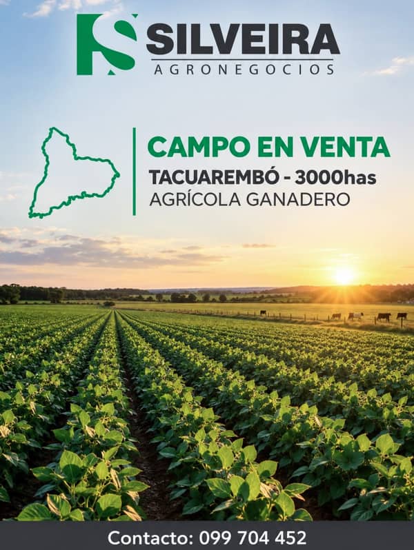 Venta / 1 / Tacuarembó